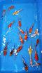 Neuer Import 2025 - Tosai Butterfly Mix- Preis pro Stck - 70 Stck